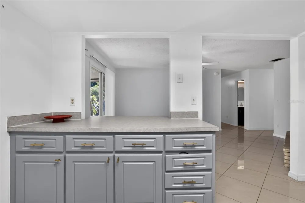 13635 BERKSHIRE COURT Grand Island, FL 32735