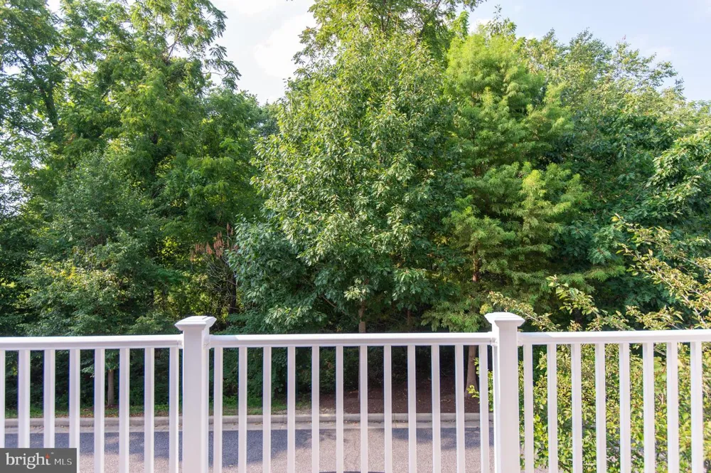 300 DIXON STREET #505 Easton, MD 21601
