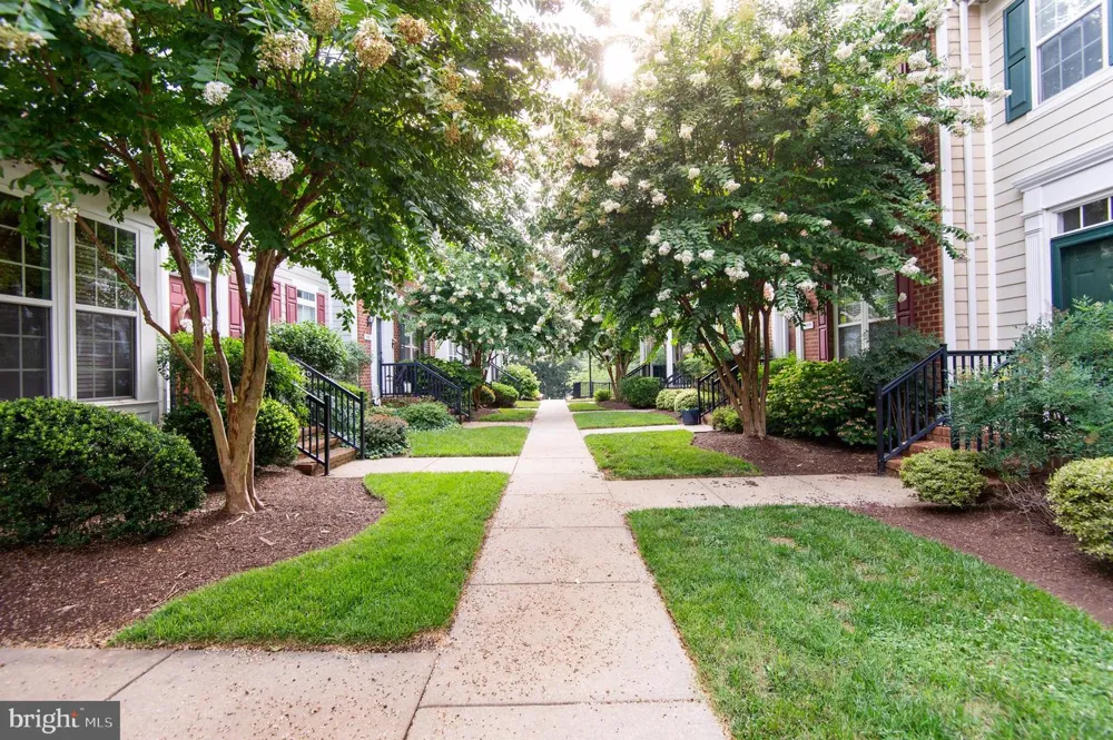 300 DIXON STREET #505 Easton, MD 21601