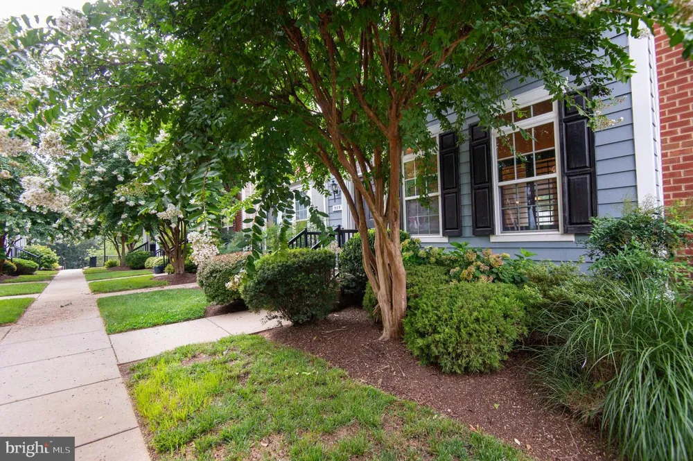 300 DIXON STREET #505 Easton, MD 21601