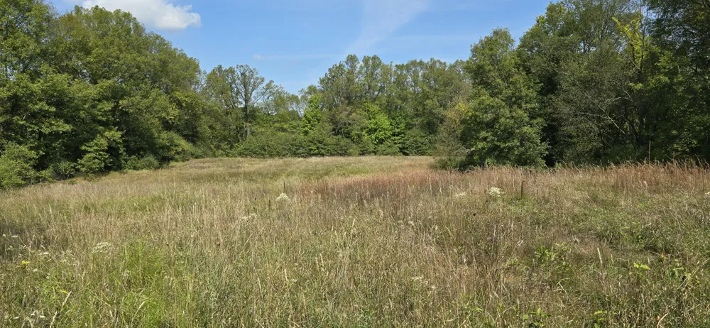 Kingsbury Road #Parcel A Delton, MI 49046