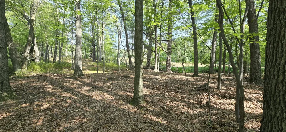 Kingsbury Road #Parcel A Delton, MI 49046