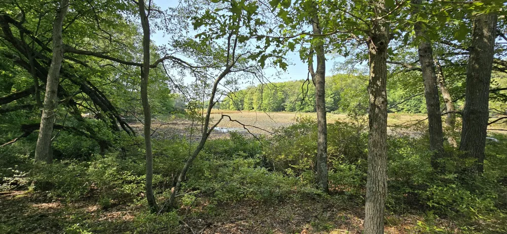Kingsbury Road #Parcel A Delton, MI 49046