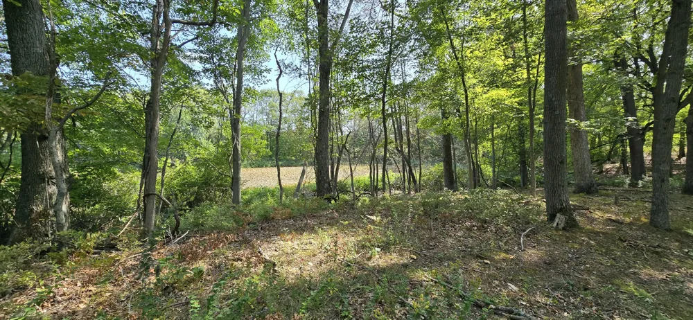 Kingsbury Road #Parcel A Delton, MI 49046