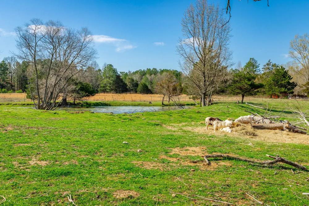 Poplar Springs Road Ringgold, GA 30736