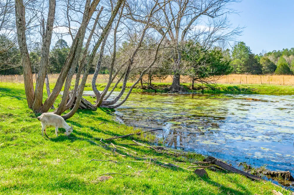 Poplar Springs Road Ringgold, GA 30736