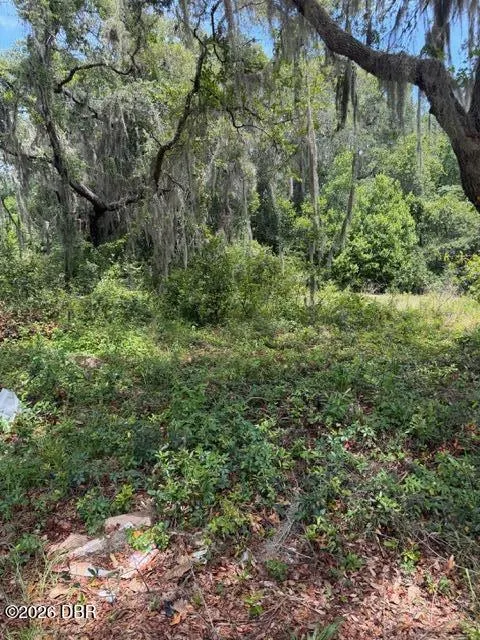 1511 Russell Avenue Eustis, FL 32726