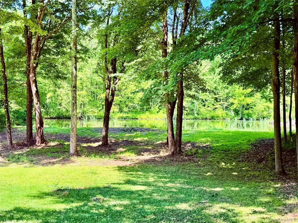 126 CARTER ROAD Pleasant Valley, NY 12569