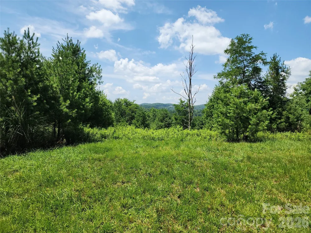 00 Chestnut Drive Blowing Rock, NC 28605