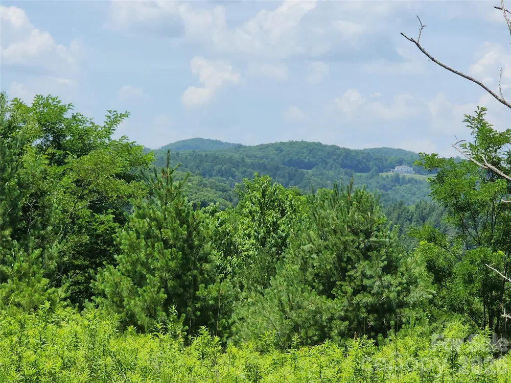 00 Chestnut Drive Blowing Rock, NC 28605