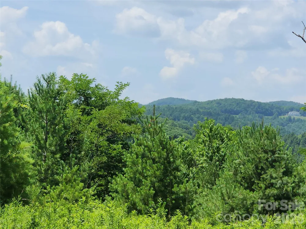 00 Chestnut Drive Blowing Rock, NC 28605