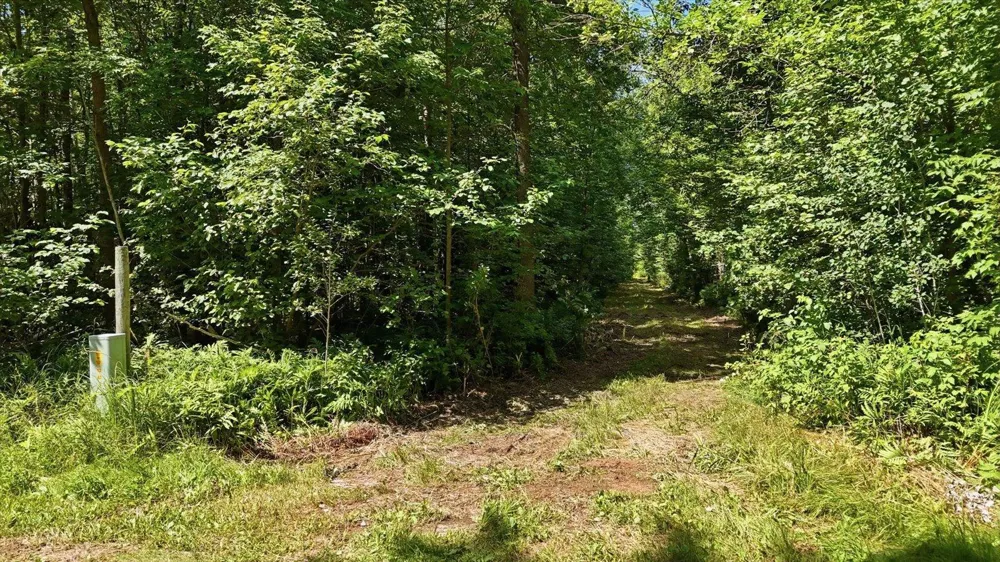 TBD Guile Lake Road Cohasset, MN 55721
