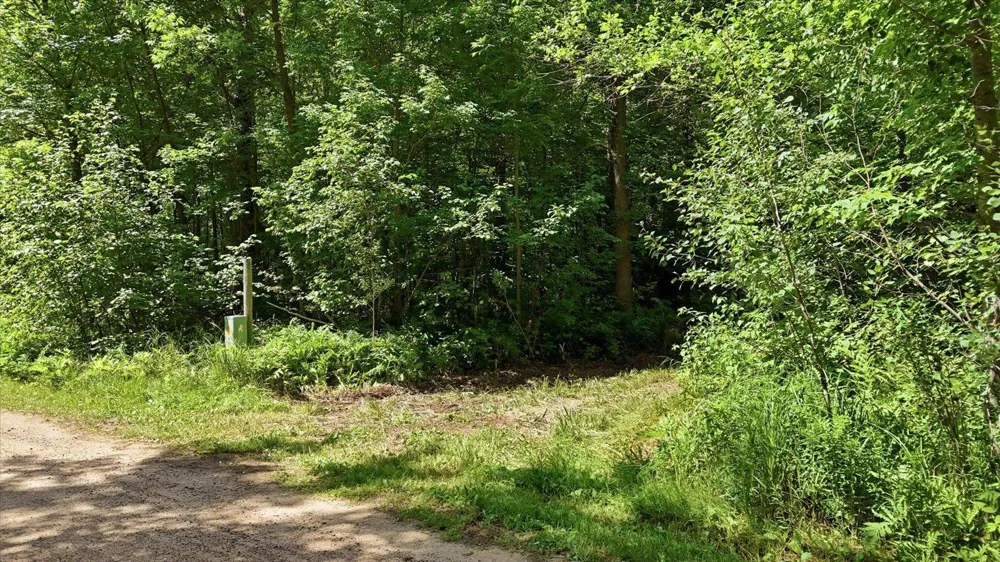 TBD Guile Lake Road Cohasset, MN 55721