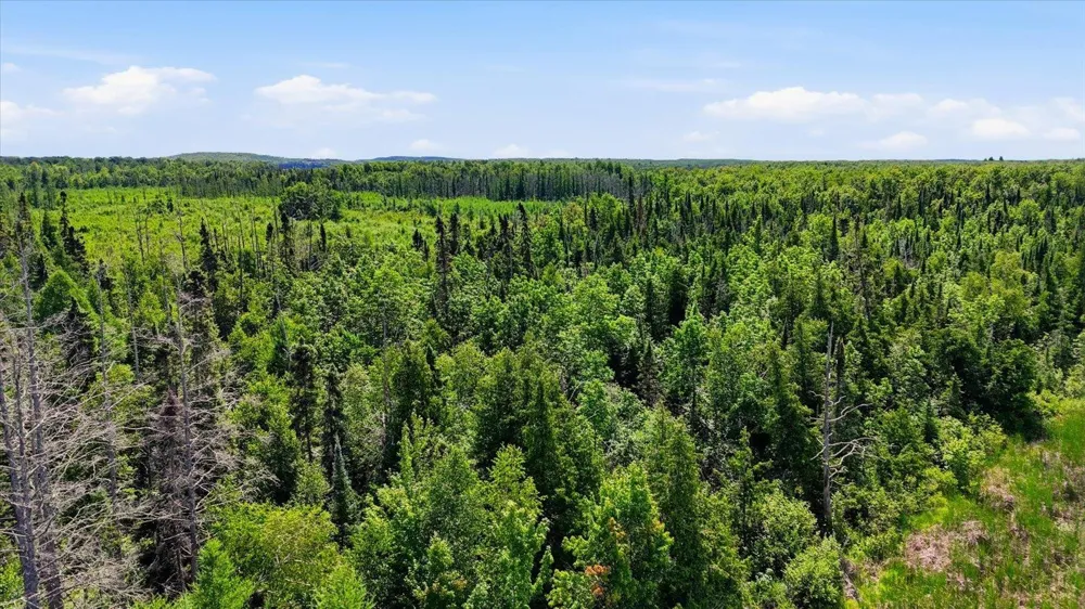 TBD Guile Lake Road Cohasset, MN 55721