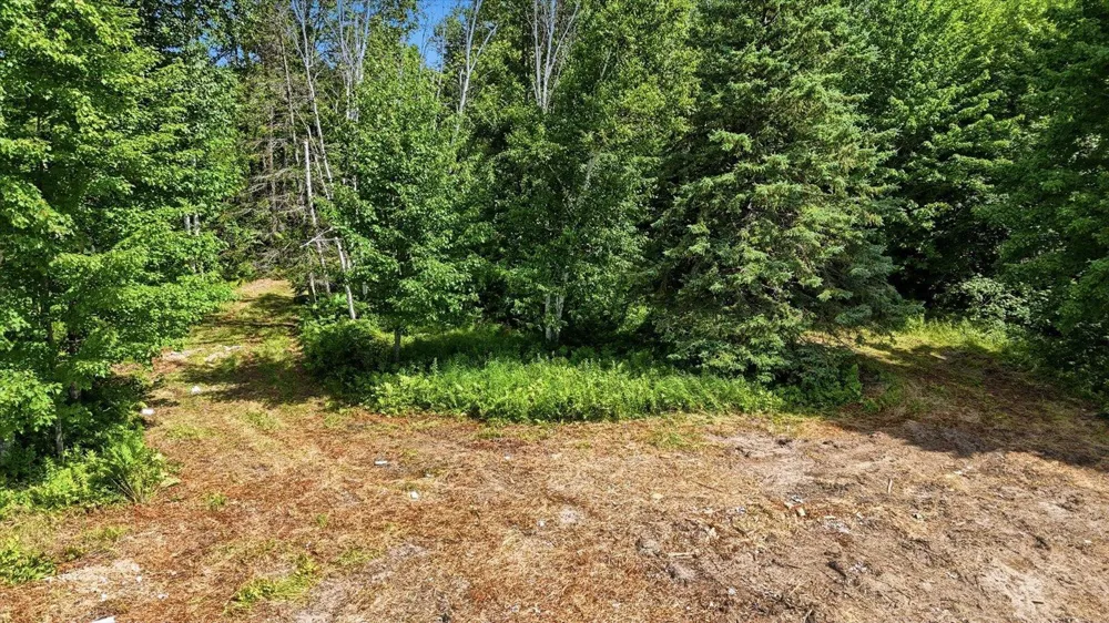 TBD Guile Lake Road Cohasset, MN 55721