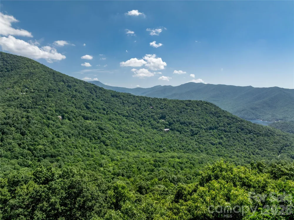 8 White Birch Court #424 Black Mountain, NC 28711