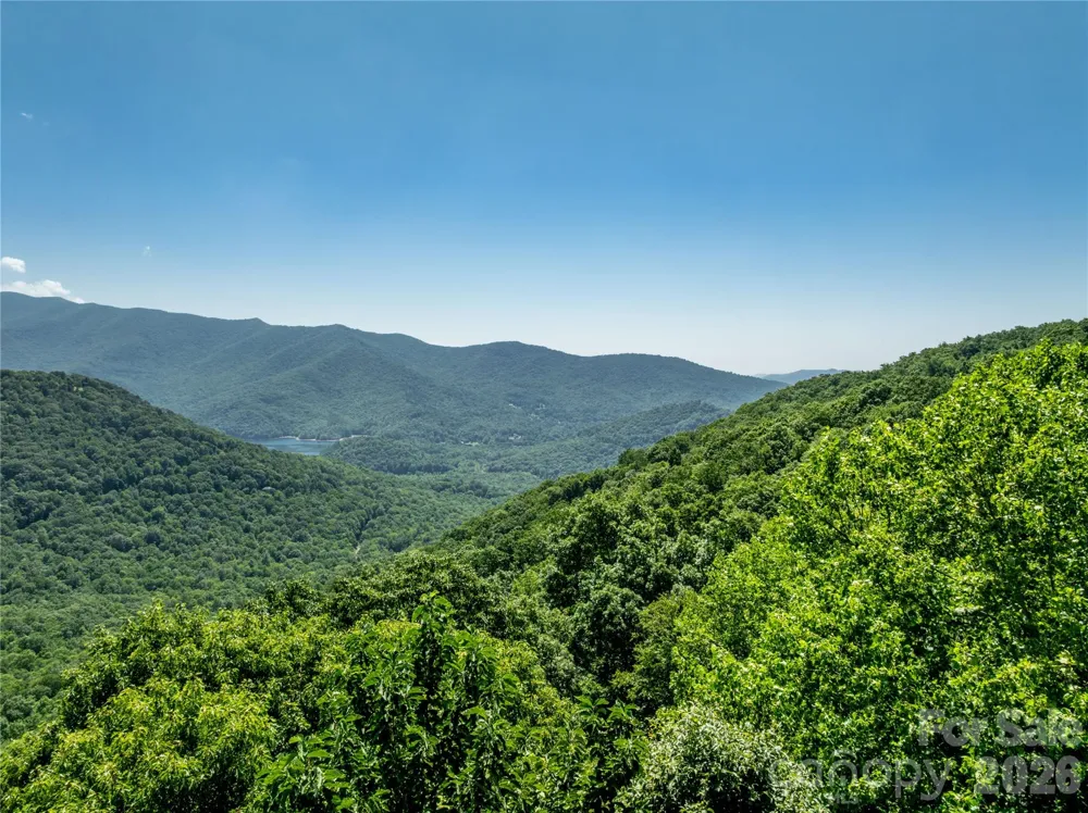 8 White Birch Court #424 Black Mountain, NC 28711