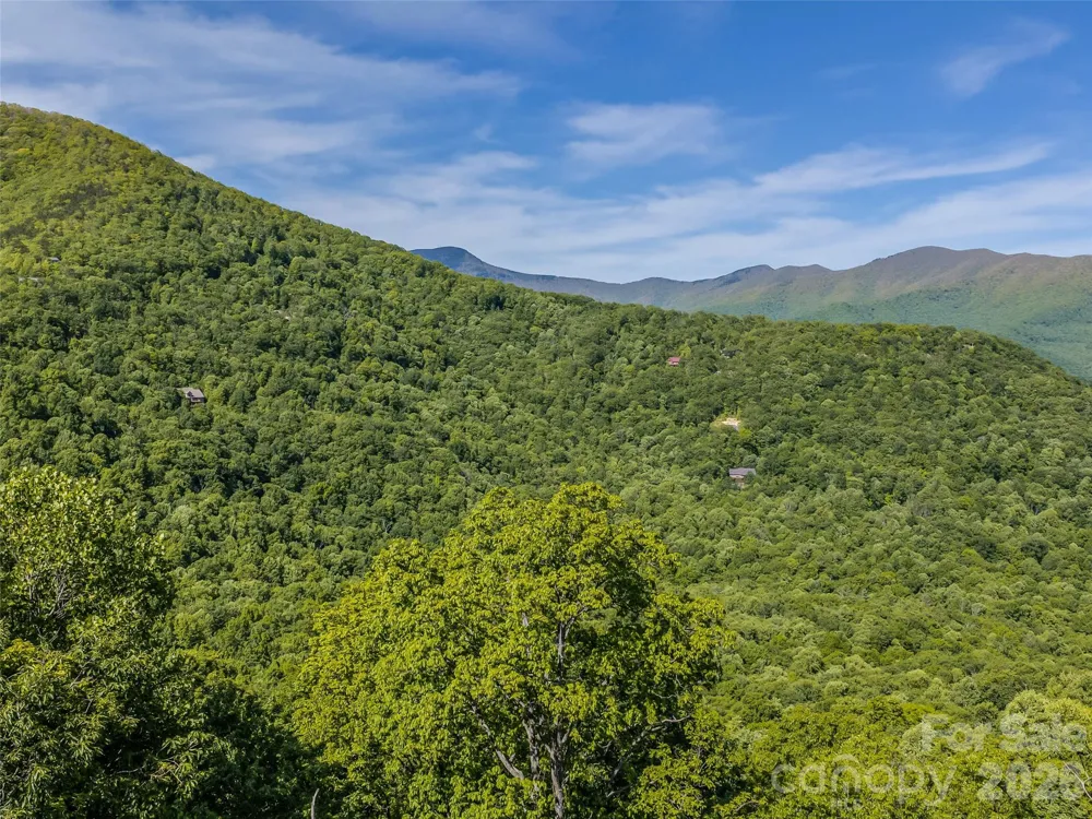 8 White Birch Court #424 Black Mountain, NC 28711