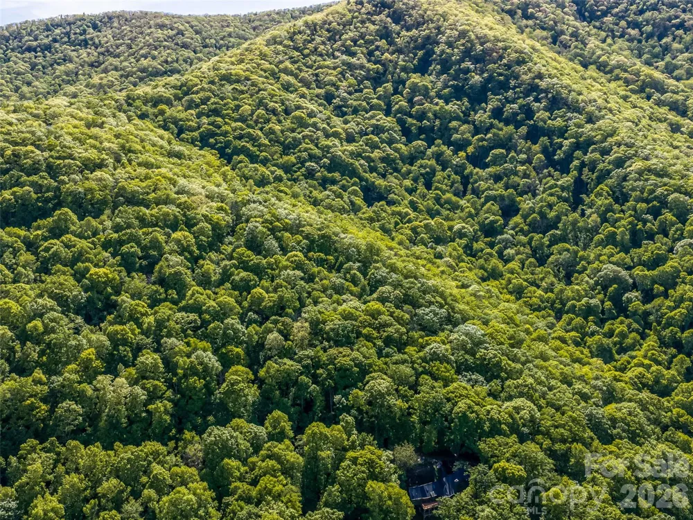 8 White Birch Court #424 Black Mountain, NC 28711