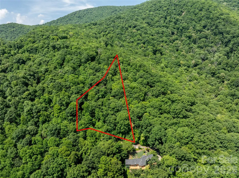 8 White Birch Court #424 Black Mountain, NC 28711