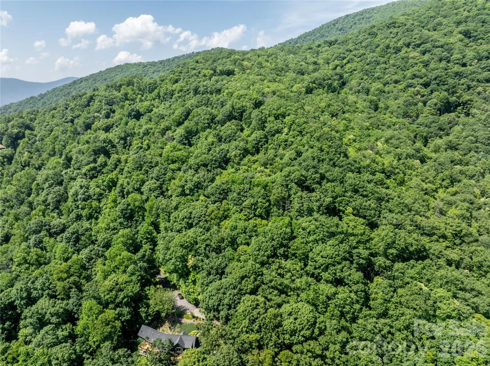 8 White Birch Court #424 Black Mountain, NC 28711
