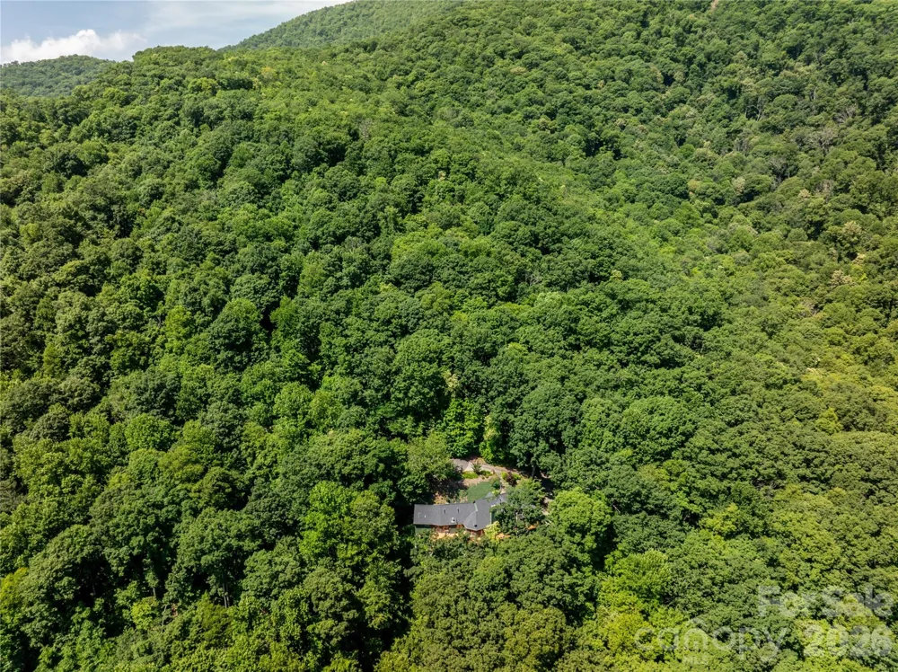 8 White Birch Court #424 Black Mountain, NC 28711
