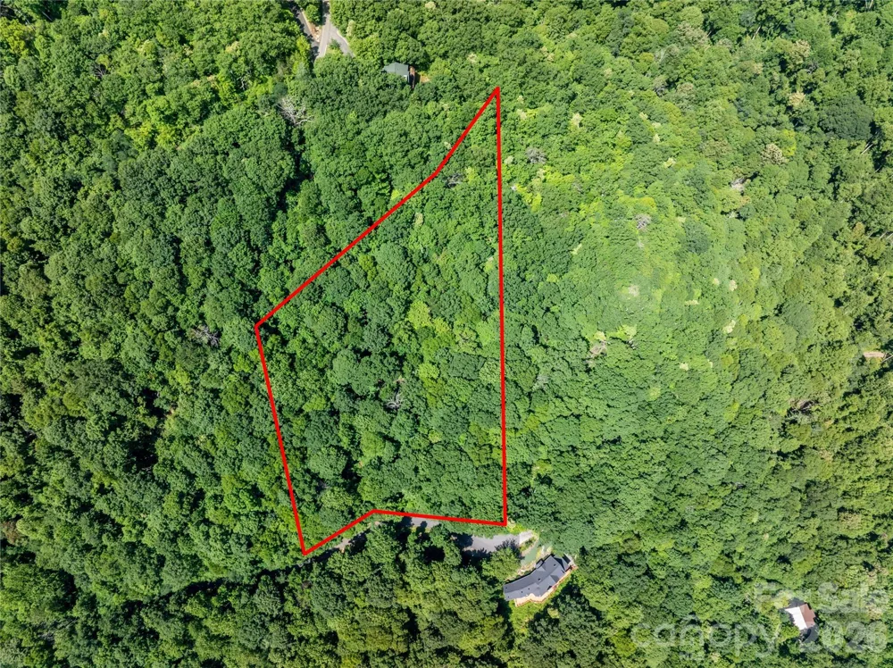 8 White Birch Court #424 Black Mountain, NC 28711
