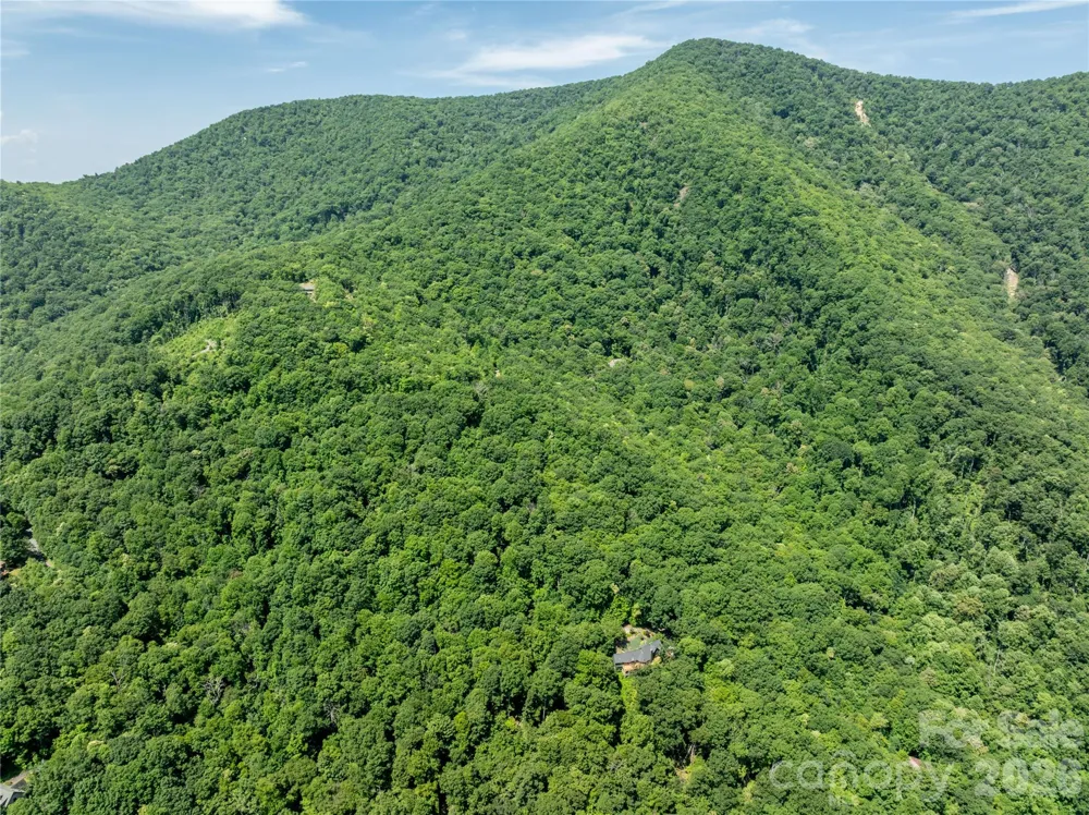8 White Birch Court #424 Black Mountain, NC 28711