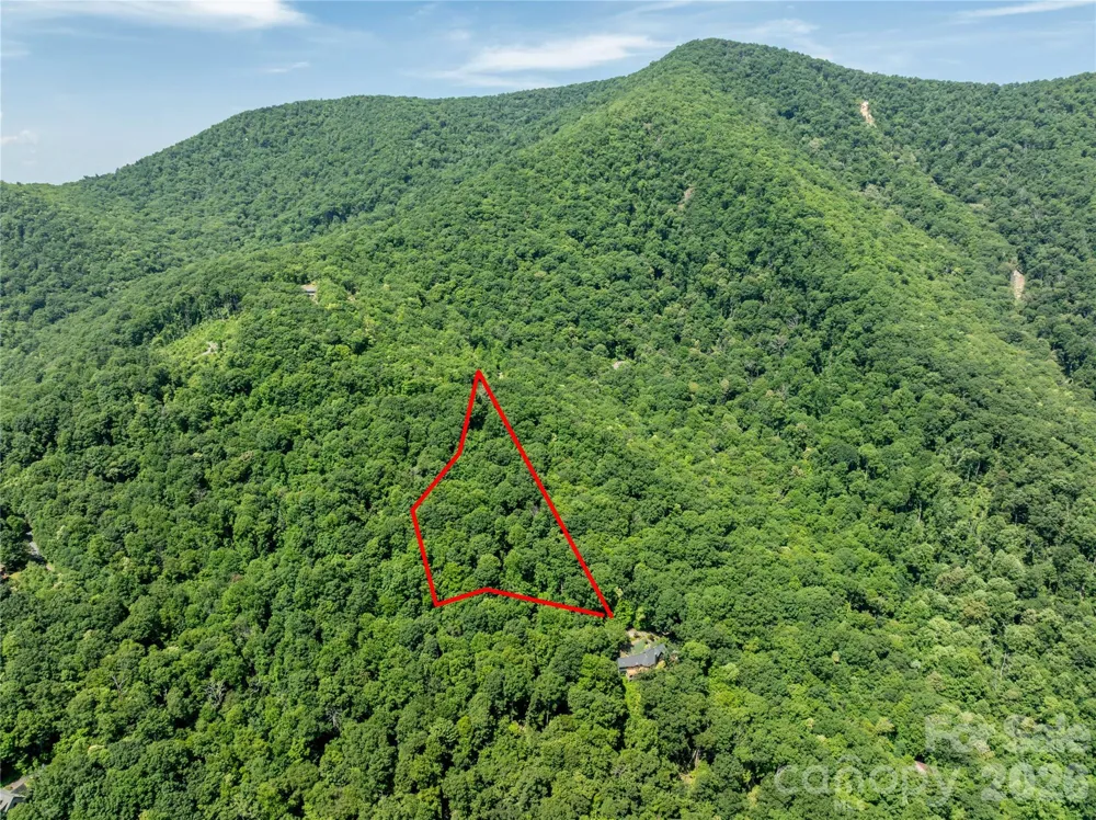 8 White Birch Court #424 Black Mountain, NC 28711