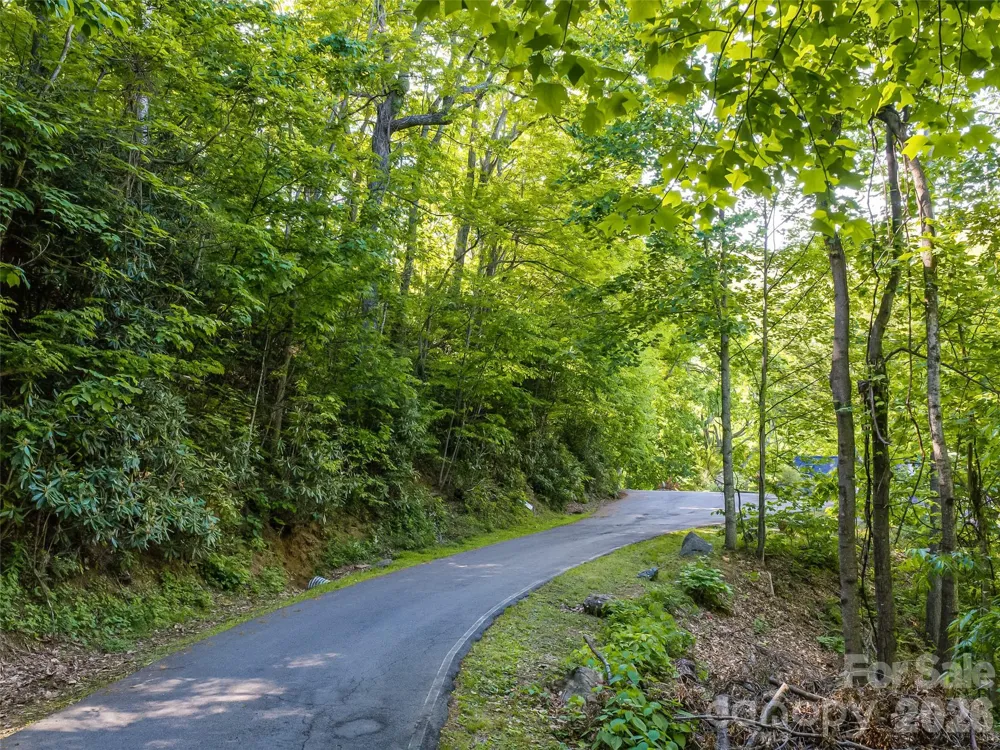 8 White Birch Court #424 Black Mountain, NC 28711