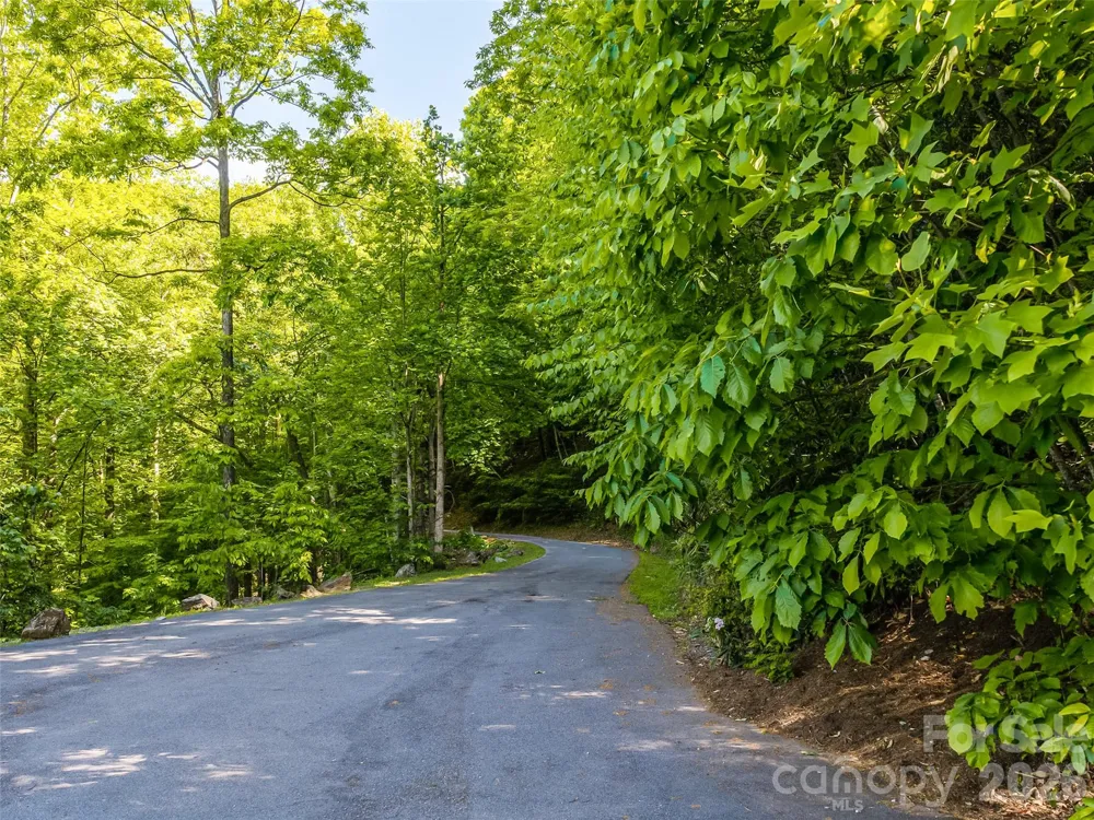 8 White Birch Court #424 Black Mountain, NC 28711