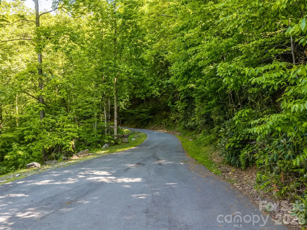 8 White Birch Court #424 Black Mountain, NC 28711