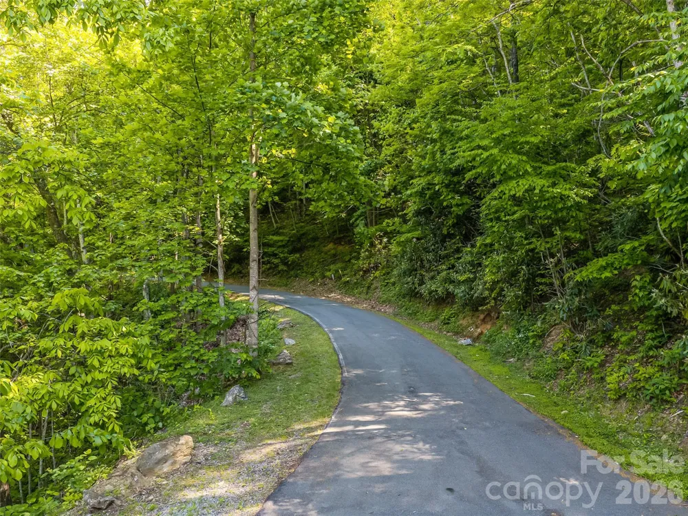 8 White Birch Court #424 Black Mountain, NC 28711