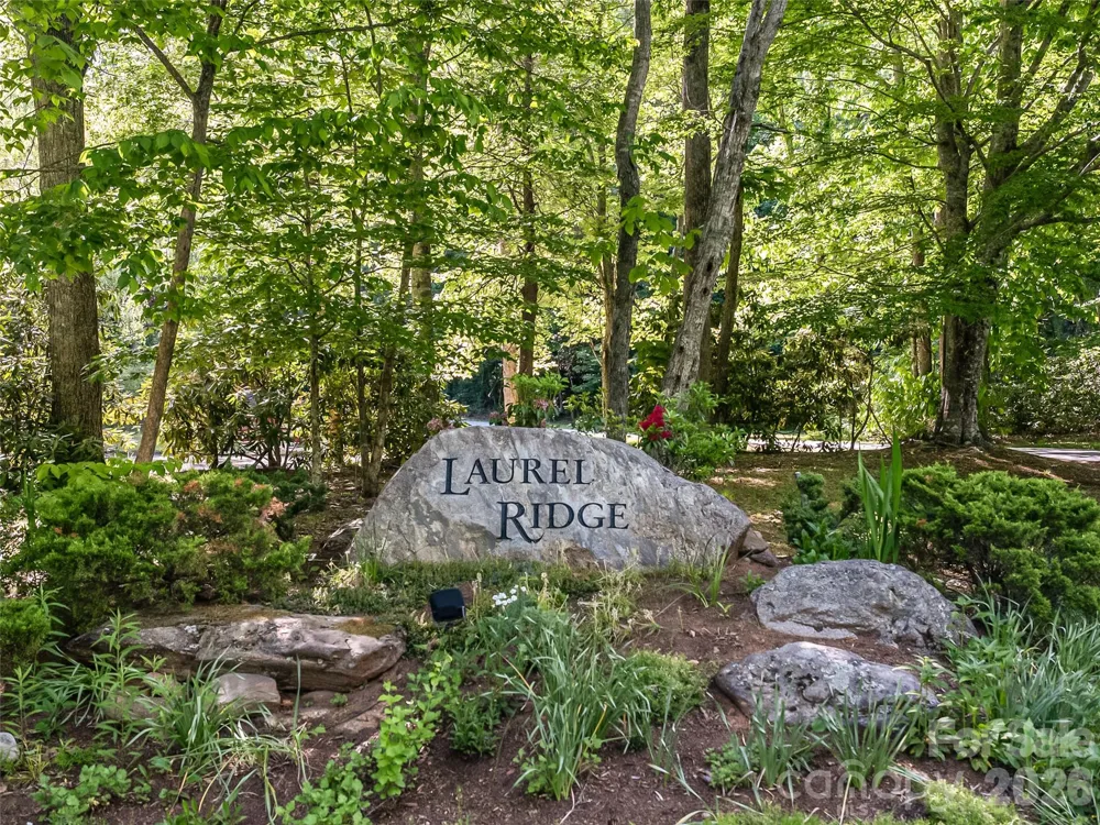8 White Birch Court #424 Black Mountain, NC 28711
