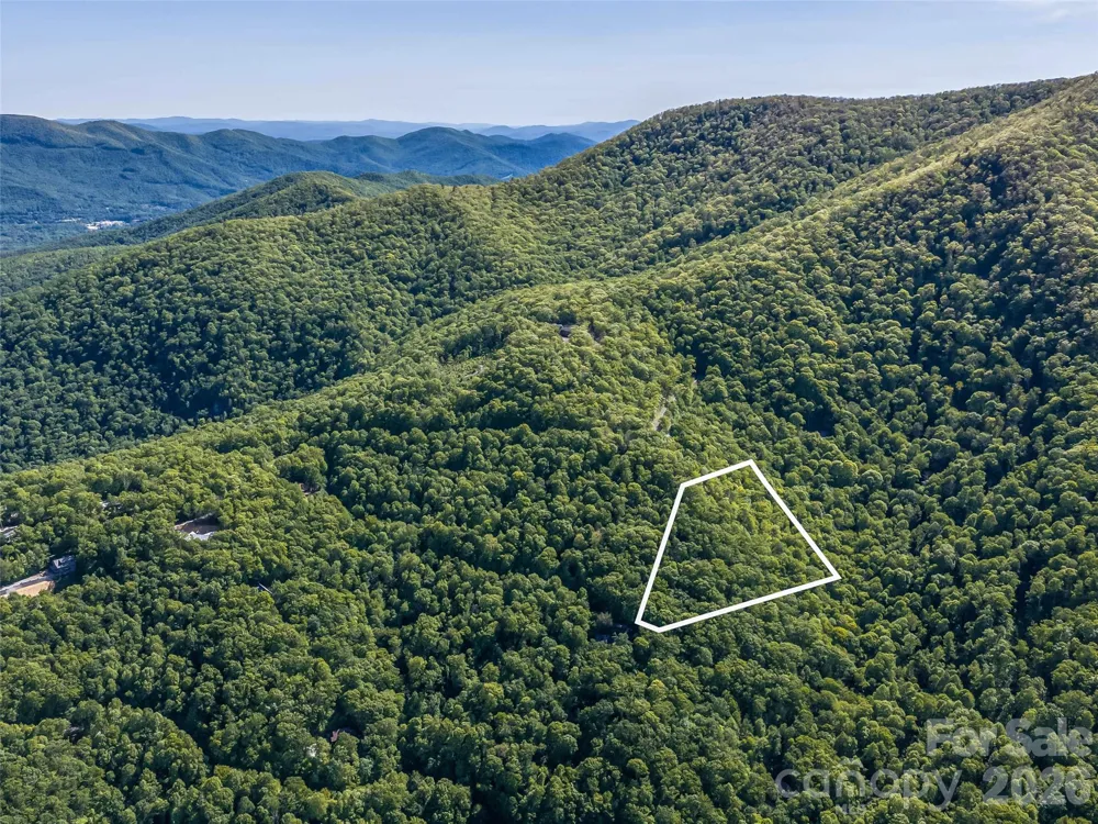 8 White Birch Court #424 Black Mountain, NC 28711