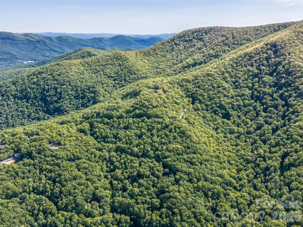 8 White Birch Court #424 Black Mountain, NC 28711