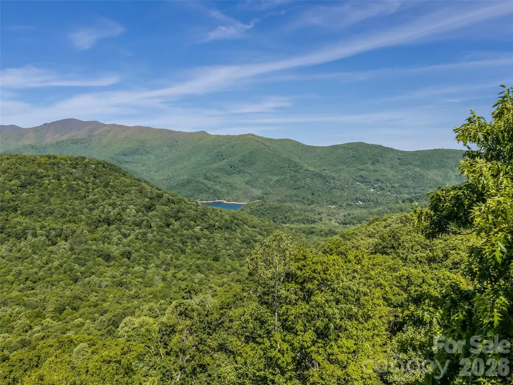8 White Birch Court #424 Black Mountain, NC 28711