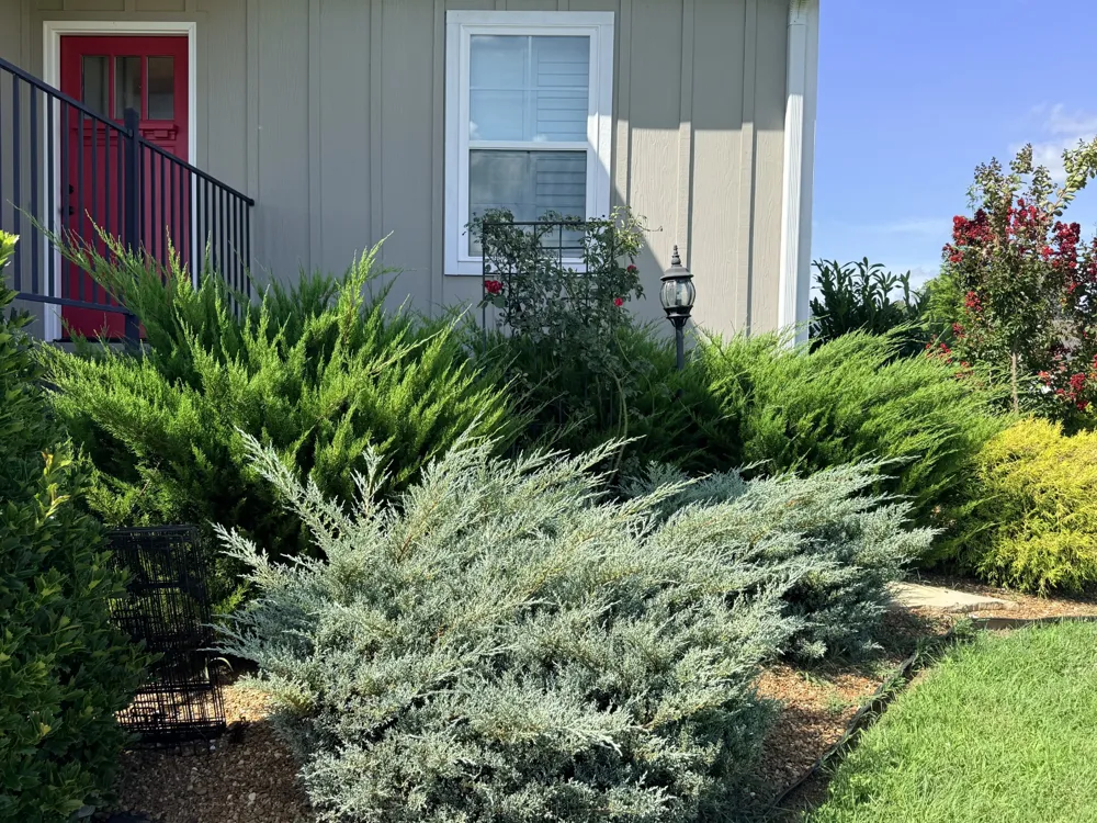 124 Droon Dr McMinnville, TN 37110