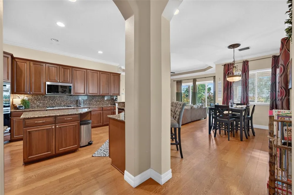 5207 LAKE VENICE DRIVE Wimauma, FL 33598