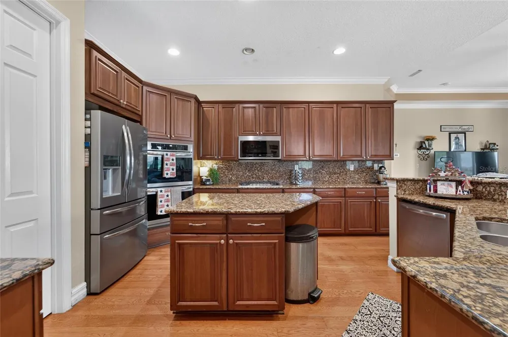 5207 LAKE VENICE DRIVE Wimauma, FL 33598