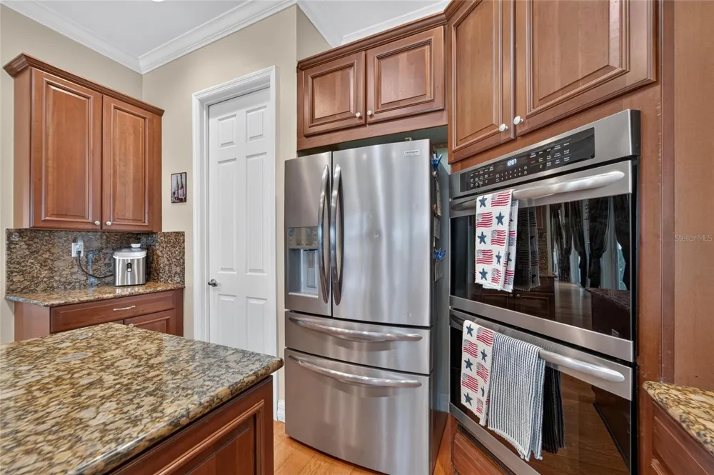 5207 LAKE VENICE DRIVE Wimauma, FL 33598