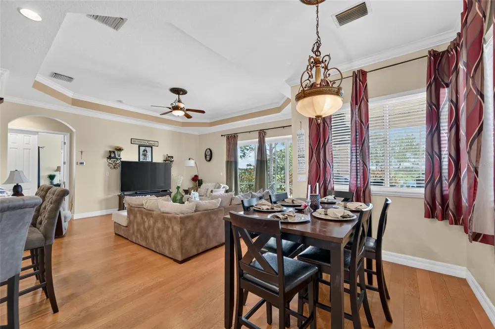 5207 LAKE VENICE DRIVE Wimauma, FL 33598
