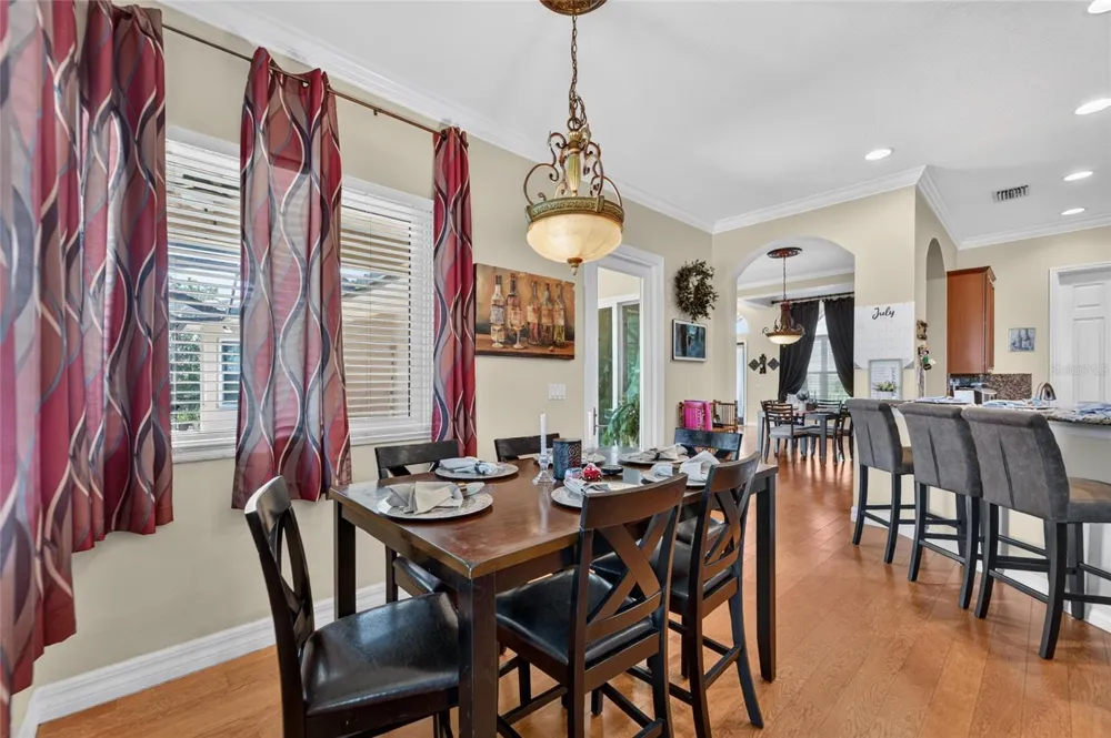 5207 LAKE VENICE DRIVE Wimauma, FL 33598