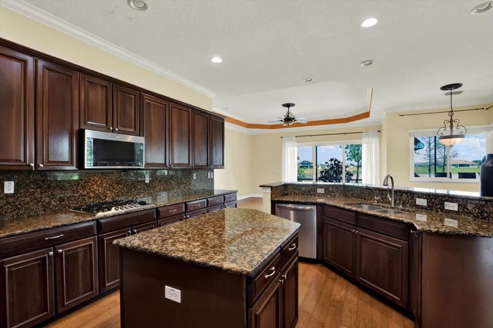 5207 LAKE VENICE DRIVE Wimauma, FL 33598