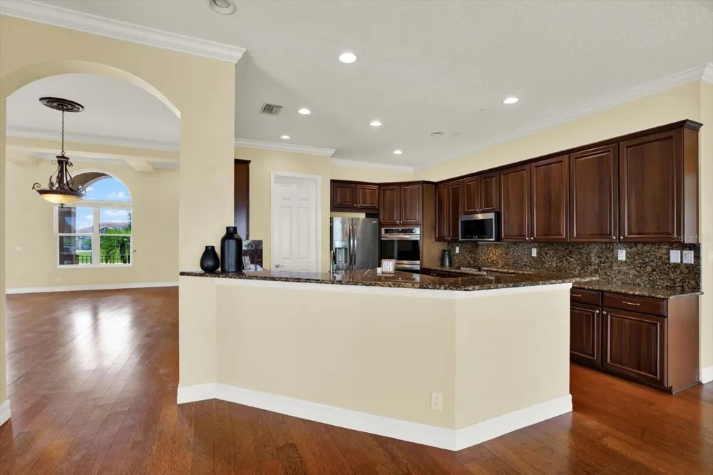 5207 LAKE VENICE DRIVE Wimauma, FL 33598