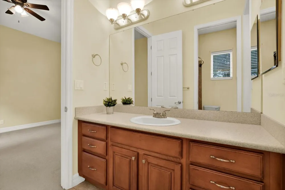 5207 LAKE VENICE DRIVE Wimauma, FL 33598
