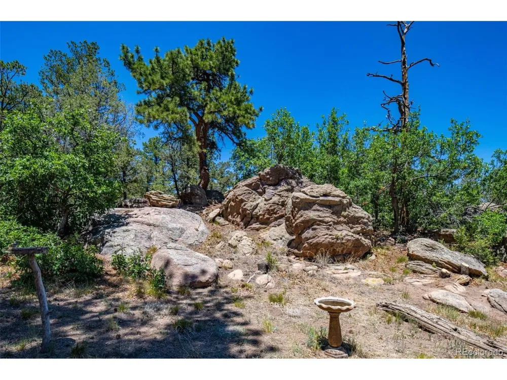 632 Nels Drive Cotopaxi, CO 81223