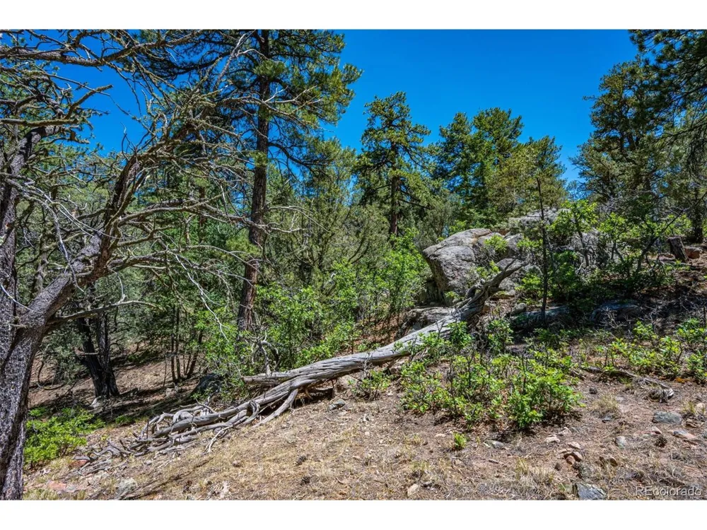 632 Nels Drive Cotopaxi, CO 81223