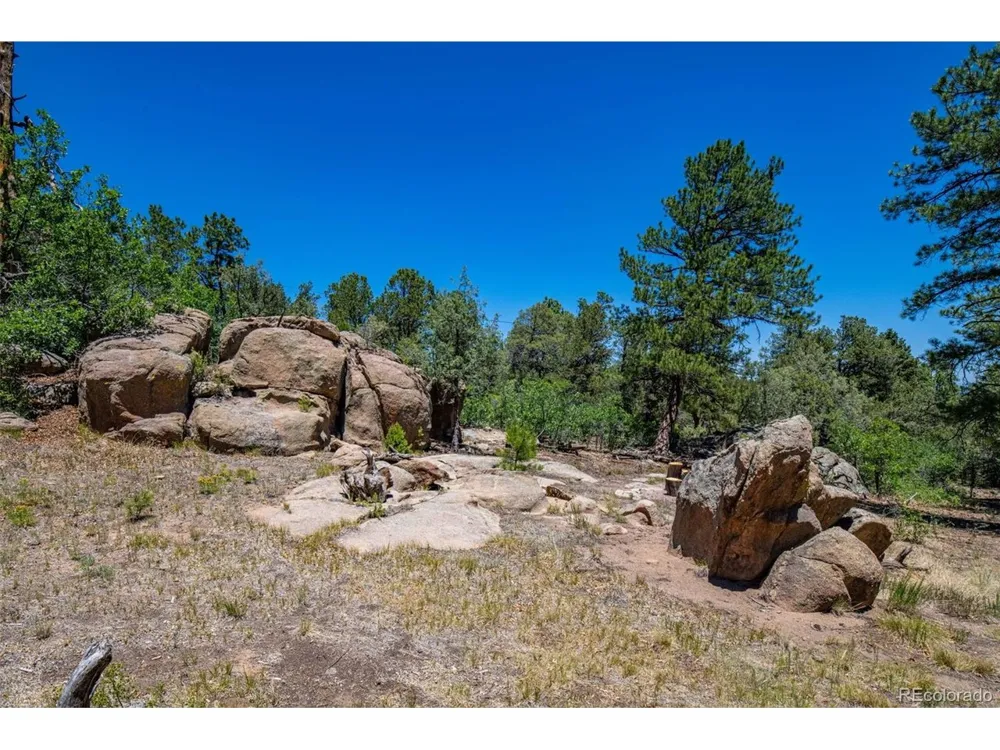632 Nels Drive Cotopaxi, CO 81223
