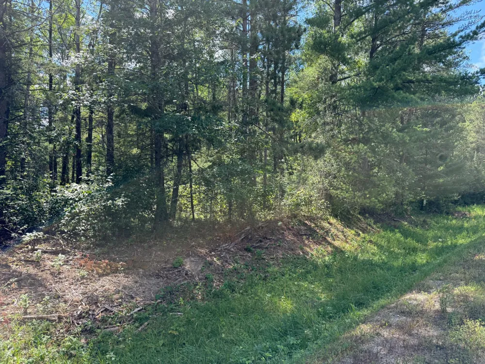 28393 County 93 Laporte, MN 56461